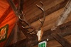 Bild Nr. 111